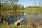 Wooden path on a rural pond