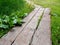 A wooden path in summer day, a road of forest logs, pine cones and gravel for walking bees. A natural wooden massage