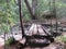 Wooden path to cross the river of stones in the forest