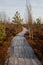 Wooden path walkway through wetlands. Autumn time