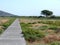 Wooden path through wetland near Stagno Longu di Posada