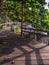 Wooden paths along the sea