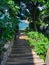 Wooden paths along the sea