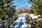 Wooden paths for hiking through the coniferous forest