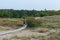 Wooden paths on the sands near Klaipeda city in Lithuania