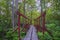 Wooden pathway above the tunnel in a tourist forest during the hiking in northern europe for outdoor activity