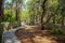 Wooden pathway  access sea beach scenic dunes protect by wood fence on bright summer day in cap ferret ocean atlantique France