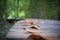 Wooden pathway along mangrove forrest