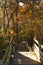 Wooden pathway in Fall.