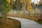 Wooden pathway and fog rising the swamp forest, autumn Dubrava marsh reserve Lithuania