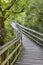 Wooden pathway into the forest. Mao river. Ribeira sacra. Galicia