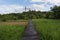 Wooden pathway, Green rice fields