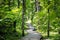 Wooden pathway leading to a sunny park