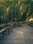 Wooden pathway in Lobao, Santa Maria da Feira - Portugal