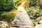 Wooden pathway over waterfall in forest