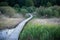 Wooden pathway in a swamp