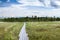 Wooden pathway to river bank between swamp