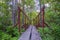 Wooden pathway in a tourist forest during the hiking in northern europe for outdoor activity