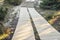 Wooden pathways in forest