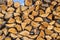 Wooden pattern. Stack of firewood at blue sky background