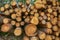 Wooden pattern stack of sawn tree trunks folded for drying