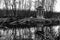 Wooden pavilion on the shore of the pond.