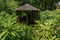 Wooden pavillion in the park. Summer house surrounded with lush tropical plants