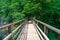 Wooden pedestrian bridge over river, green forest