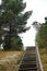 Wooden pedestrian stairs in park