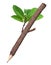 Wooden Pencil In White Background