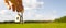 Wooden pendant of a house and key. Background of the sky and field. Dream of home, building a cottage in the countryside, plan and