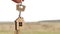 Wooden pendant of a house and key in hand. Background of the sky and field. Dream of home, building a cottage in the countryside,