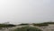 Wooden picket fence, sandy misty beach, California USA. Pacific ocean coast, fog haze on sea shore.