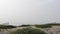 Wooden picket fence, sandy misty beach, California USA. Pacific ocean coast, fog haze on sea shore.