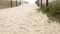 Wooden picket fence, sandy misty beach, California USA. Pacific ocean coast, fog haze on sea shore.