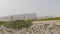 Wooden picket fence, sandy misty beach, California USA. Pacific ocean coast, fog haze on sea shore.