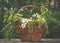 Wooden picturesque basket and a spring bouquet of white wildflowers. Decoration for the feast of the Trinity