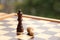 Wooden pieces, chess queen and pawn, white and dark brown on the chessboard, concept of the game, subordination, loss, dominance