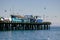 Wooden pier in Capitola Wharf under attack of shearwater birds, Monterey Bay