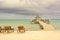 Wooden pier dock and ocean view at Caye Caulker Belize Caribbean