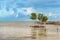 Wooden pier dock and ocean view at Caye Caulker Belize Caribbean