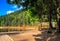 Wooden pier on mountain Lake in Synevir National Park