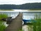 Wooden pier with resting cormorants