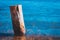 Wooden pile washed by the blue waters of the lake