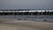 Wooden piles in the frozen water of Baltic sea shore.