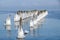 Wooden piles of the old pier covered with ice in frosty winter weather