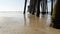 Wooden piles under pier in California USA. Pilings, pylons or pillars below bridge. Ocean waves tide