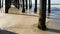 Wooden piles under pier in California USA. Pilings, pylons or pillars below bridge. Ocean waves tide