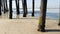 Wooden piles under pier in California USA. Pilings, pylons or pillars below bridge. Ocean waves tide