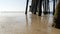 Wooden piles under pier in California USA. Pilings, pylons or pillars below bridge. Ocean waves tide